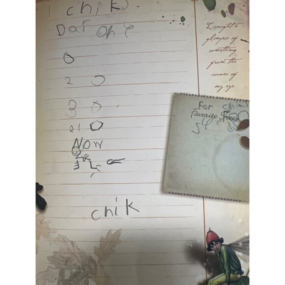 Fairy-Themed Hard Cover Notebook & Black Zippered ARC Staples Diary Ledger - Picture 3 of 4